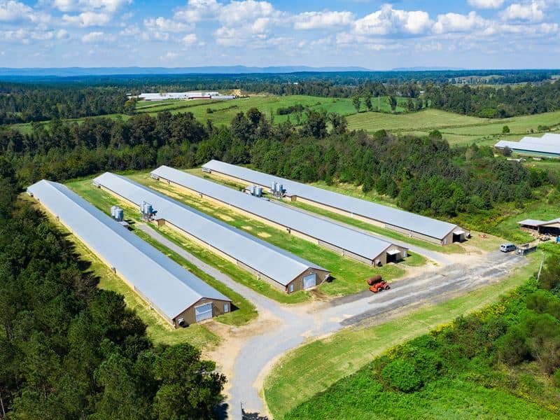 Commercial poultry houses seen from the air